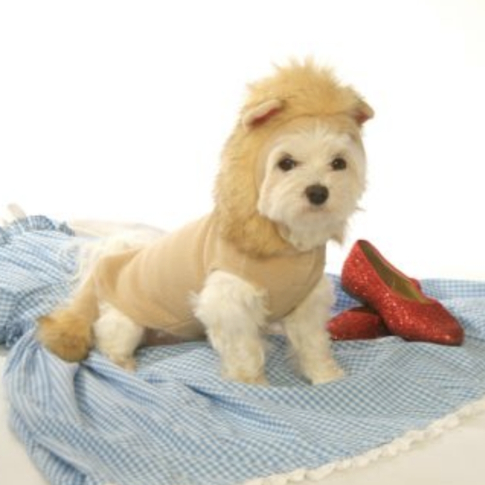Dog Costumes - Lion Halloween Costume For Pets Size XS and XL - Picture 7 of 7